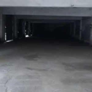 出租巴南区南泉镇鹿角场小厂房600平