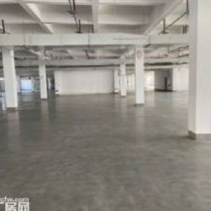 南岸茶园新区20000平米厂房，库房出租