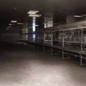 出租江津区德感工业园1500平食品加工厂房