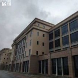 生态小独栋 可租可售 付三成 政府扶持园区 税收减免