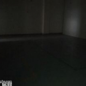 茶园新区机电路1400平标准医药仓库出租