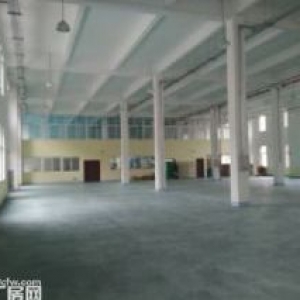 轻轨双站点，1500㎡独栋带露台租售
