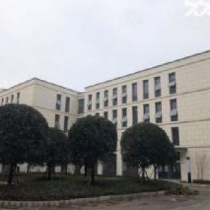 主城唯一双层独栋标准厂房，500至4000平，近蔡家