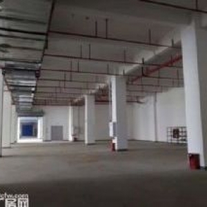 两江新区3万平标准厂房出租