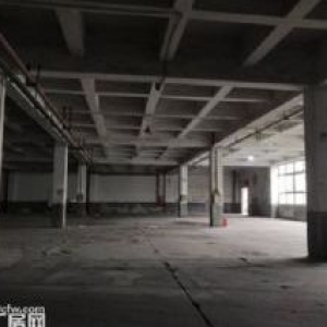 茶园新区3000平标准厂房火爆招租中
