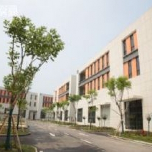 送水电气，重庆唯一8.1米两层楼&&低首付&&