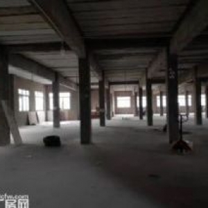 南岸南山2300平6米层高厂房出租可分