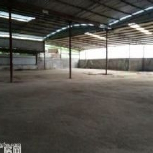界石2300平厂房出租