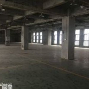 寸滩曙光园区标准独立厂房出租，可用做仓库或机加工