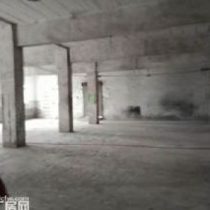 南泉1600厂房火爆出租