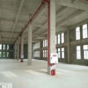 品质园区 稀缺双层独栋 标准厂房 1000平起