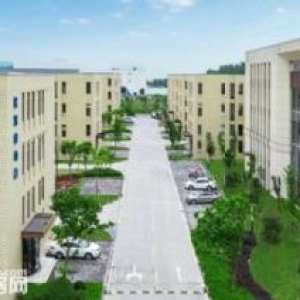 白市驿园区拆迁首选 紧靠九龙坡周边 全新独栋厂房
