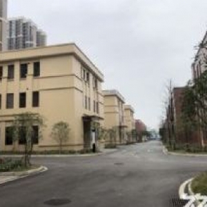 两江水土高新区厂房出租出售（接房早、可按揭、有产权）
