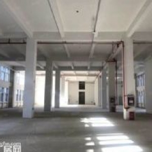 新元高速口的独栋/多层厂房出售