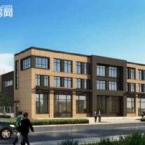 高新区独院10米单层钢构厂房，10吨天车，证件齐全。