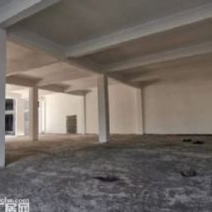 长清区厂房现房直售 园区企业强强联合政府助力中小微企业发展 单层面积3000平