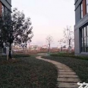 合肥循环经济示范区 首付两成 50年独立产权 可分期