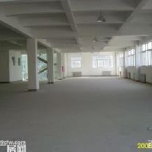 独栋厂房出售，独立产权，超大面积超高层
