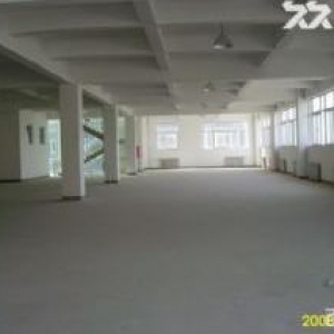 独立厂房出售独立产权大小面积都有，层高8.1米