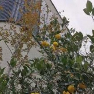 花园独栋办公总部经济自贸区环境谷