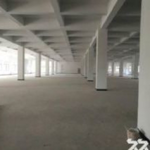 闻堰1400方出租
