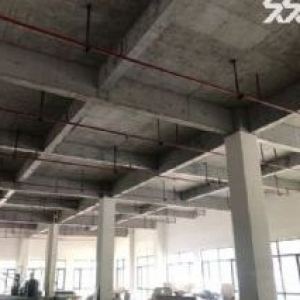 850方一楼标准厂房可分租550方