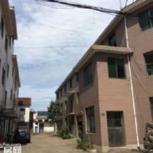 独门独院5亩1000方厂房出租超便宜