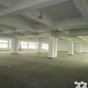滨江西兴长河300方，500方，800方，1000方面积不限楼层不限