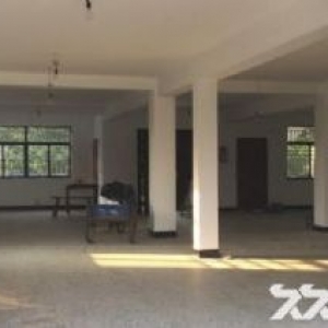 钱塘新区 江东开发区 20000方多层厂房出租 可以分租 价格14元