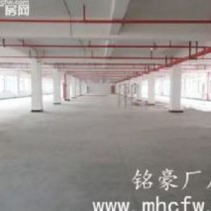 余杭仁和工业区11300方标准厂房出租