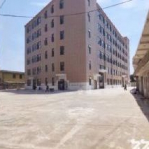 萧山所前工业区6000方标准厂房出租