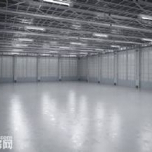 出租进化600方单层钢结构厂房，层高8米，独门独院，报价15万