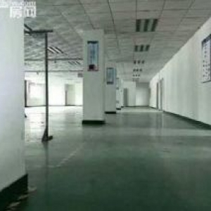 出租临平开发区一楼1300方！层高8.5米，适合电商，仓库。无污染制造业！