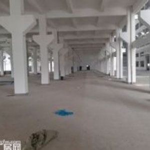 机场附近园区整栋出租 面积24000方一楼层高十米八千一层