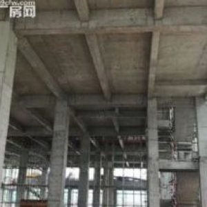 开发商直售，单一楼准现房，标准层高，精装交付