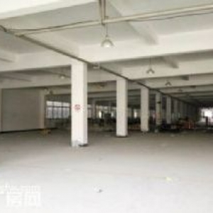 海宁许村320国道旁 11亩土地 14000方厂房