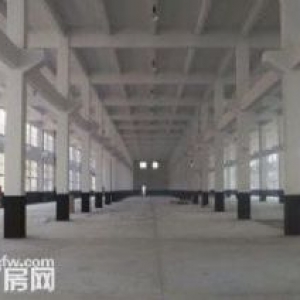 武康工业区28亩土地23000方全新厂房出售 有特种污染环评