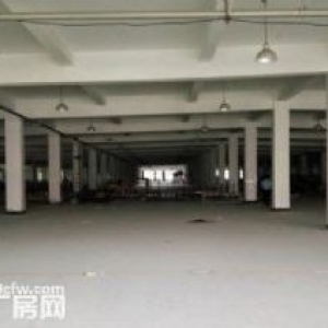 海宁周王庙8亩土地4000平方米厂房整体转让