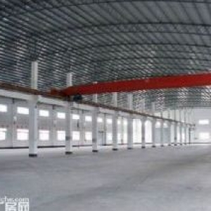 (出售)园区内单层钢构厂房  50年独立产权 可按揭 10米层高  行车