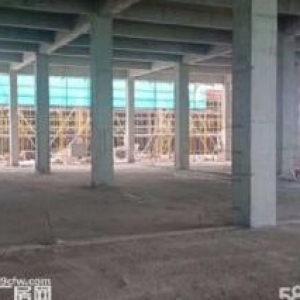 余杭运河街道旁，标准工业厂房精装出售，独立产权50年，开发商直售