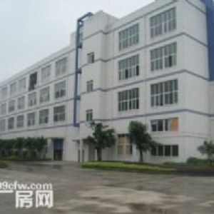 乔司工业区9000平标准厂房出售