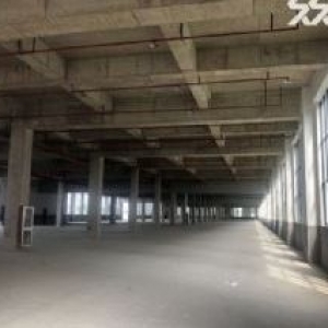 独门独栋全新1200平方厂房出售