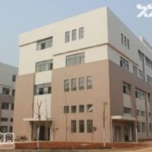 出售义桥工业区19.5亩土地 厂房32000方左右 有证的28000方