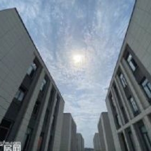 金山桥，全新厂房，独栋，园区直招（非中介），1000&minus;5000平