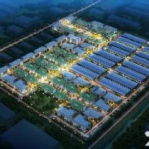 新区高规厂房50年产权大证，轻钢单层！2层、3层标准厂房