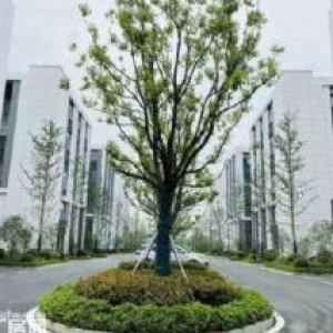 徐州经济开发区——联东U谷厂房出售