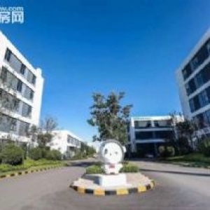 单层厂房50年大产权一房一证