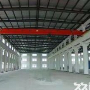 出售，新建单层钢结构厂房，五十年产权，均价3000元