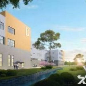 出售 政府产业园层高12米全新单层厂房 可定建可按揭