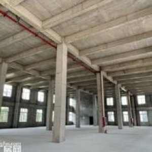 开发商直售 8.1米挑高厂房出售 现房 可按揭20%首付  独栋 环评